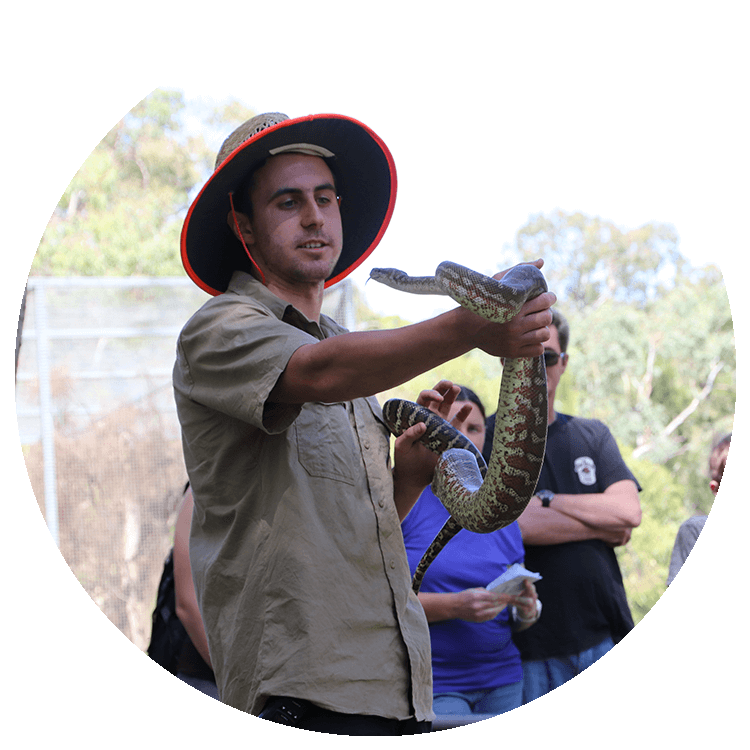 A man wearing a hat holds a large python