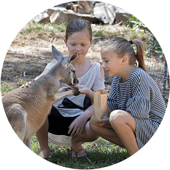gorge-wildlife-park-south-australia-animal-experiences-12