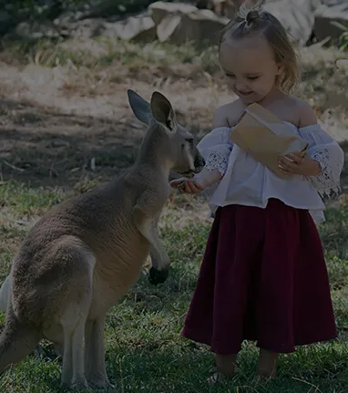 Gorge-Wildlife-Park-Adelaide-Hills-Zoo-South-Australia-Feeding-Kangaroo